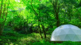 森の中のテント